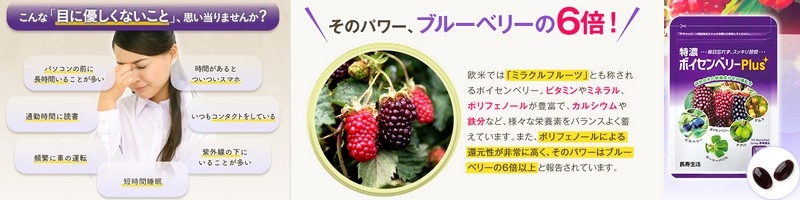 �ЂƂ݃C�L�C�L���Z�{�C�Z���x���[Plus�Łu�N���A�Ȗ����v500�~���j�^�[���T�C�g